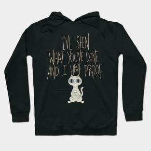 I've seen what you've done and I have proof Hoodie